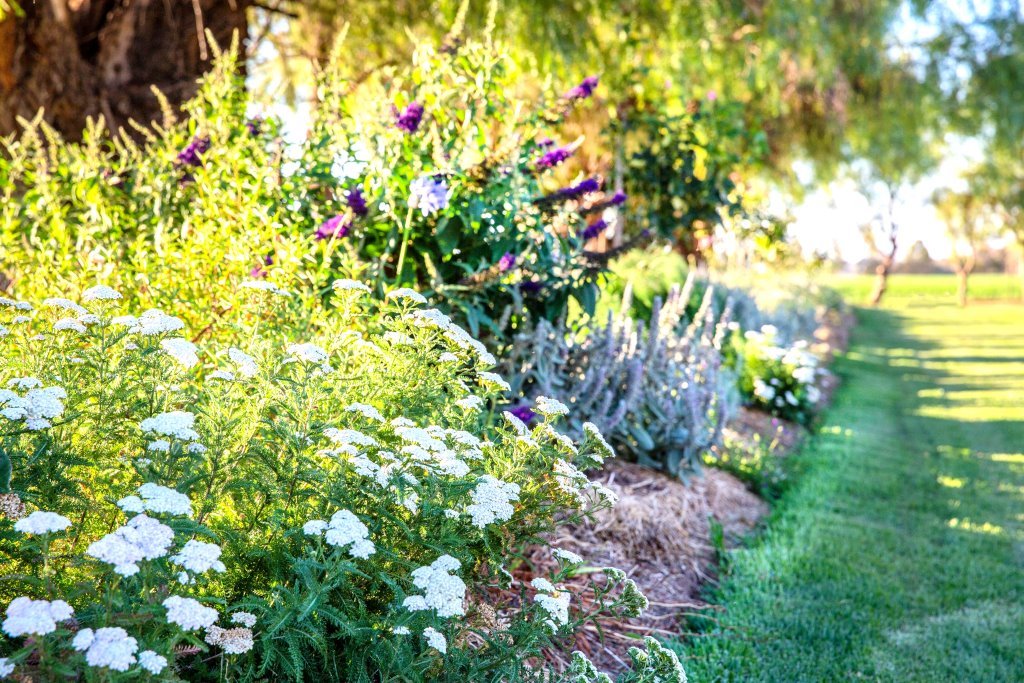 farm stay garden walk nsw